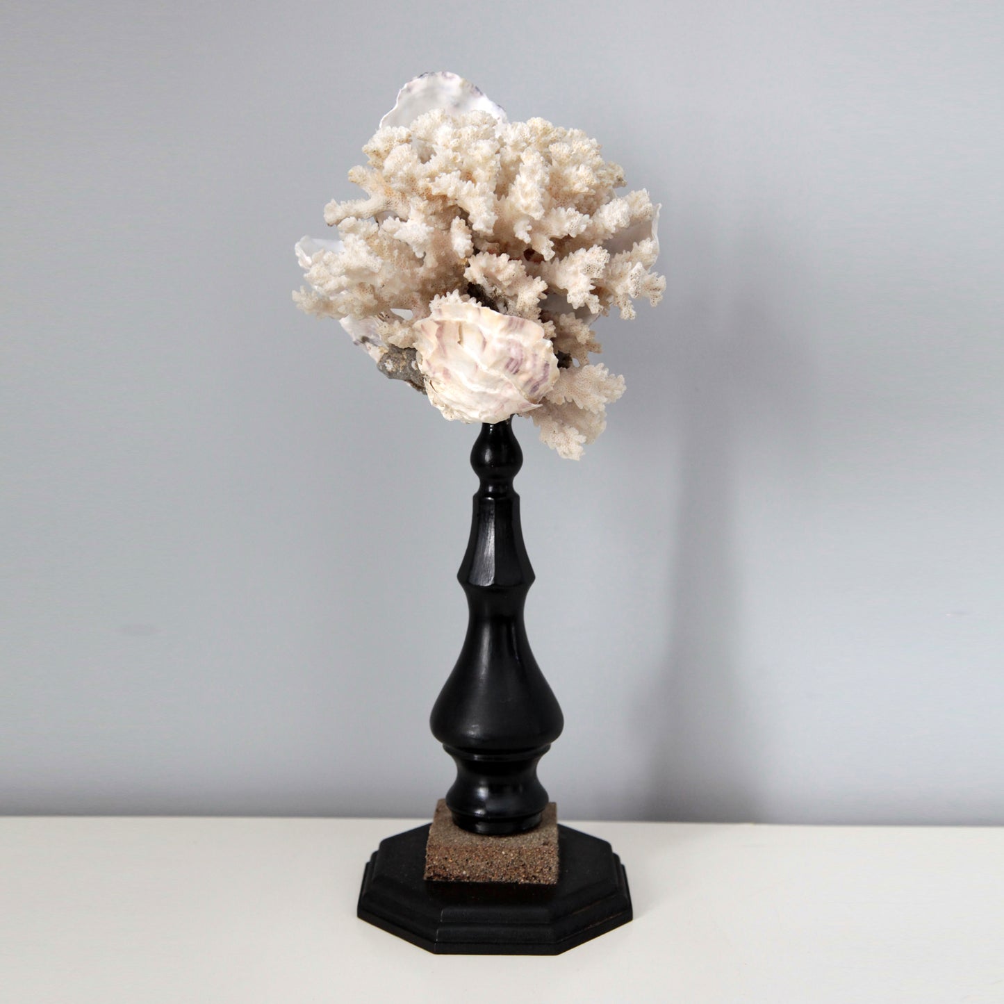VANITAS FLOWER OF THE SEA